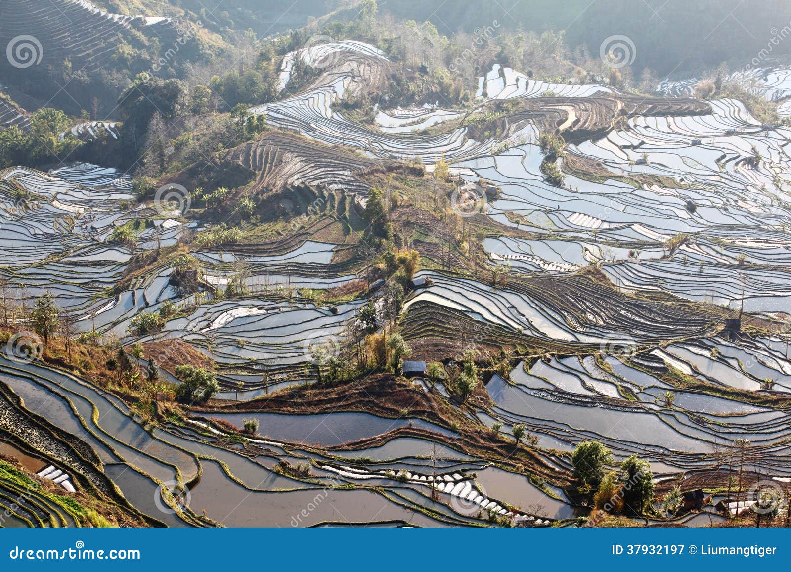 laohuzui terraced field scenic area 2